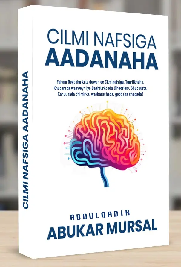 Découvrez les mécanismes de la pensée humaine, les émotions et les comportements à travers les principaux courants psychologiques